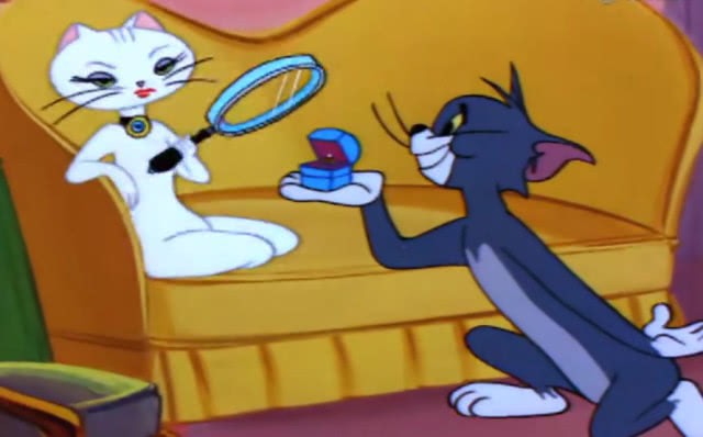 《猫和老鼠》女性猫咪扮演着导火索的角色，究竟她们有何魅力能如此着迷