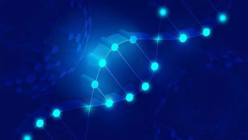 生物学与图书行业没有太多关系，但却编写出了非常吸引人的指导手册DNA