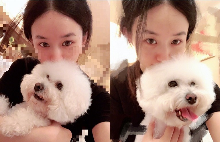 赵丽颖晒出自拍美照，穿着黑色上衣素颜出镜，怀抱着爱犬挡住她的半张脸