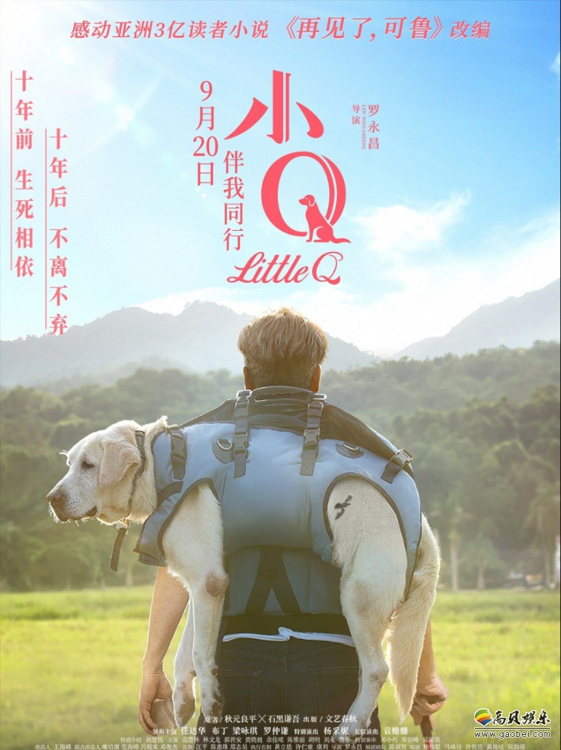 年度最佳陪伴电影《小Q》登陆各大院线！满满暖心的小Q正式与观众见面