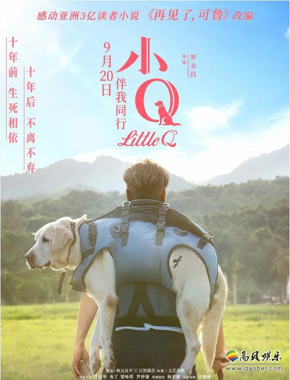 《小Q》“寄不出去的信”特辑！词藻间不透露对小Q想念之情，催泪至极