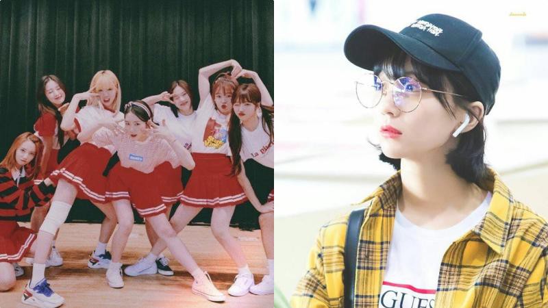 Oh My Girl共有7名成员，粉丝眼中成员们构成就是：Arin和6名Arin妈妈粉