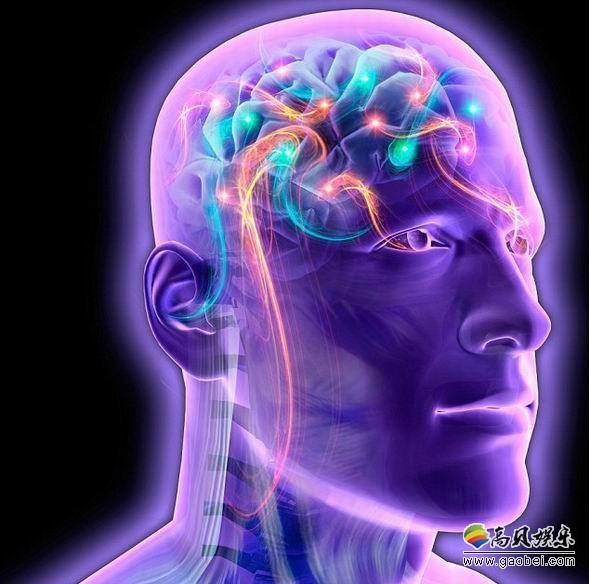 科学家尝试建造超级计算机大脑，结果表明它们始终无法接近现实人类大脑