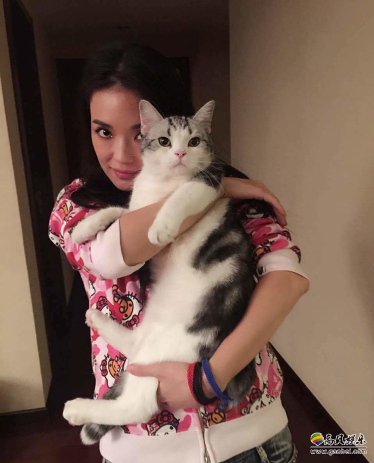 舒淇微博分享与爱猫合影！舒淇身穿玫红色外套，把猫抱在怀内，歪头嘟嘴