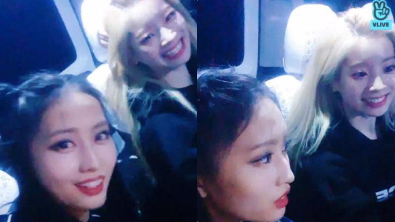 TWICE日本演唱会结束坐车离开会场粉丝跟过来，MOMO和多贤瞬间变脸