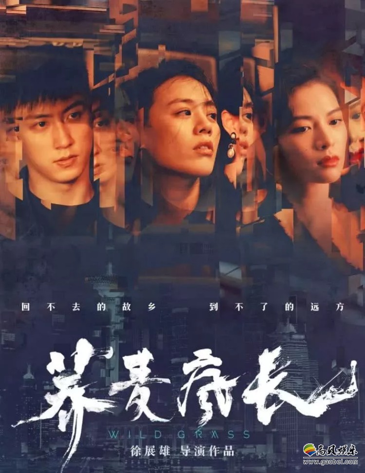 电影《荞麦疯长》近日发布定档预告，预告中展现了片中人物的无助和挣扎