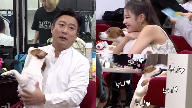 《我家的熊孩子》公开MV拍摄现场!金希澈带著狗狗「起伏」来拍摄现场 《我家的熊孩子》公开MV拍摄现场!金希澈带著狗狗「起伏」来拍摄现场