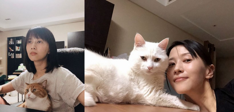 papi酱社交账号晒出近照papi酱素颜躺在床上腹部隆起造型略显搞怪