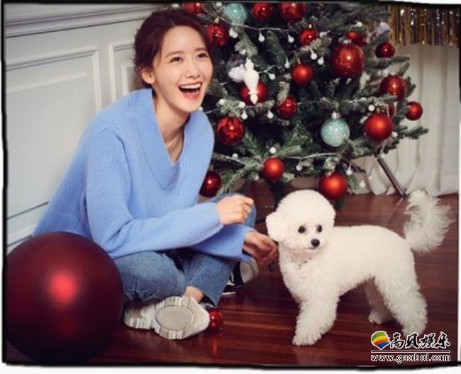 少女时代成员林允儿发布与家中宠物犬一起拍摄照片，吸引了广大粉丝目光