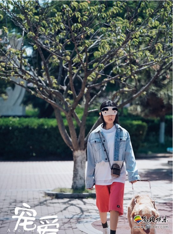 张子枫新片《宠爱》累计票房超四亿，延续该片在元旦假期的优异票房表现