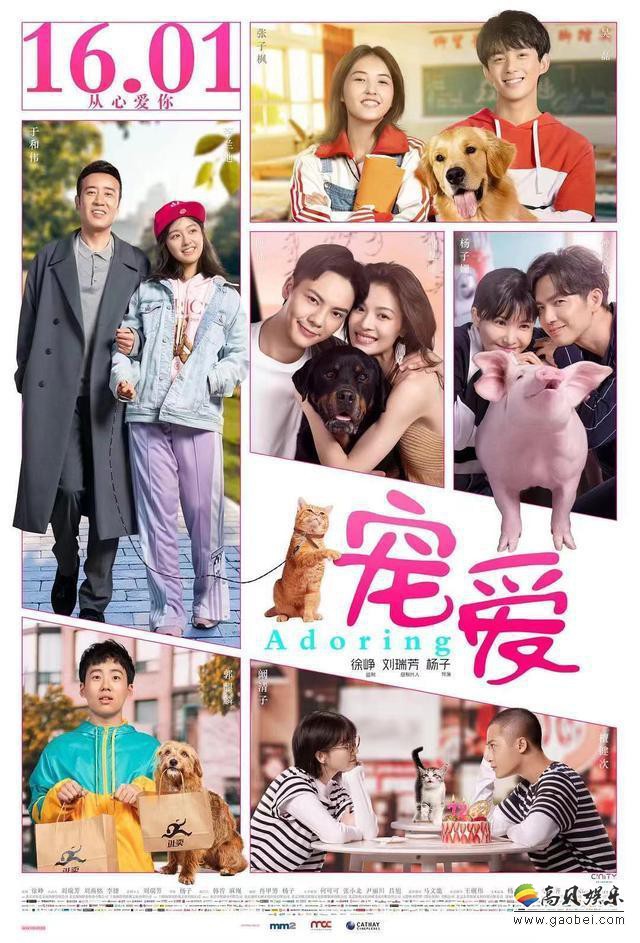 根据猫眼票房实时数据统计显示：《宠爱》票房破五亿！官方公布庆贺海报