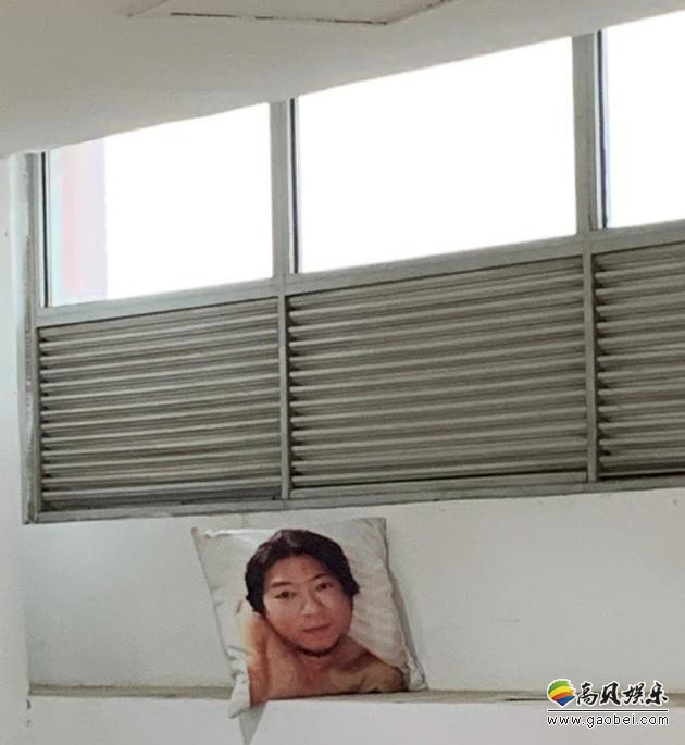 网友微博晒出高晓松赤裸上身抱枕照片，并表示“高晓松老师做错了什么”