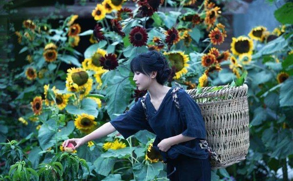 李子柒所属机构相关人员近日表示：李子柒年收入1.68亿人民币是虚假报道