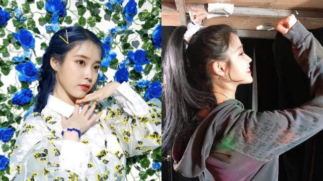 不少韩国明星艺人都是IU粉丝，其中更是有多位男艺人将她看作“理想型”