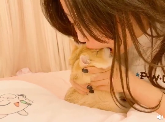 杨超越微博上传逗猫视频，双手抱着小猫咪逗玩，张大嘴巴欲试要吃掉猫咪