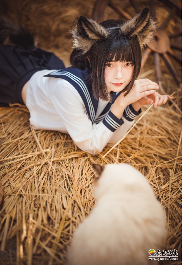 国内小姐姐“与猫共舞”JK系列写真！可爱猫耳娘、清纯JK制服和猫咪搭配