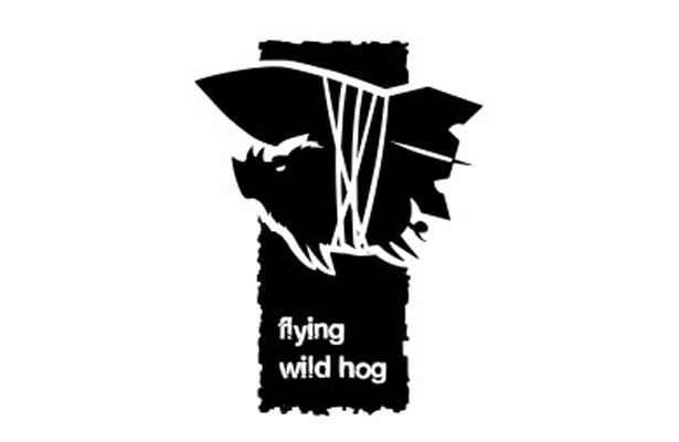 开发商Flying Wild Hog CEO受访，采访中谈到一些关于次世代主机的信息