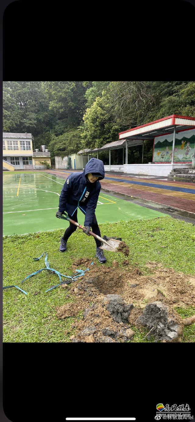 植树完成后图片图片