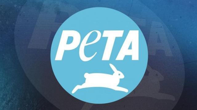 动物权利组织PETA指导玩家如何在《集合啦！动物森友会》当中对待动物