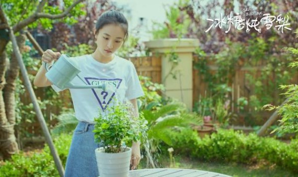 《冰糖炖雪梨》“冰糖CP”恋爱青春少年追梦旅程引起网友关注与热烈讨论