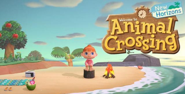 网友在《集合啦！动物森友会》岛上建造教学区域！终于等来一位好学村民