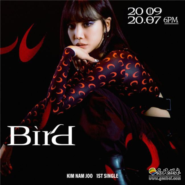 所属经纪公司公开Apink金南珠首张solo单曲专辑《Bird》预告形象概念照