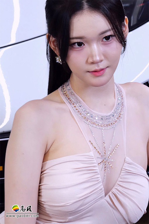 平面模特 车模 饭拍秀 [ID138796 版本]【20合集 8.04 GB】